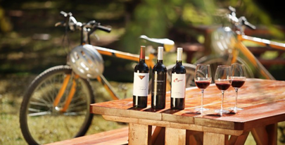 wine and bike tours niagara on